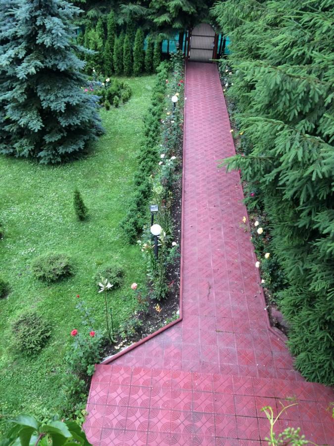 Vila Phoenix Aparthotel Predeál Kültér fotó
