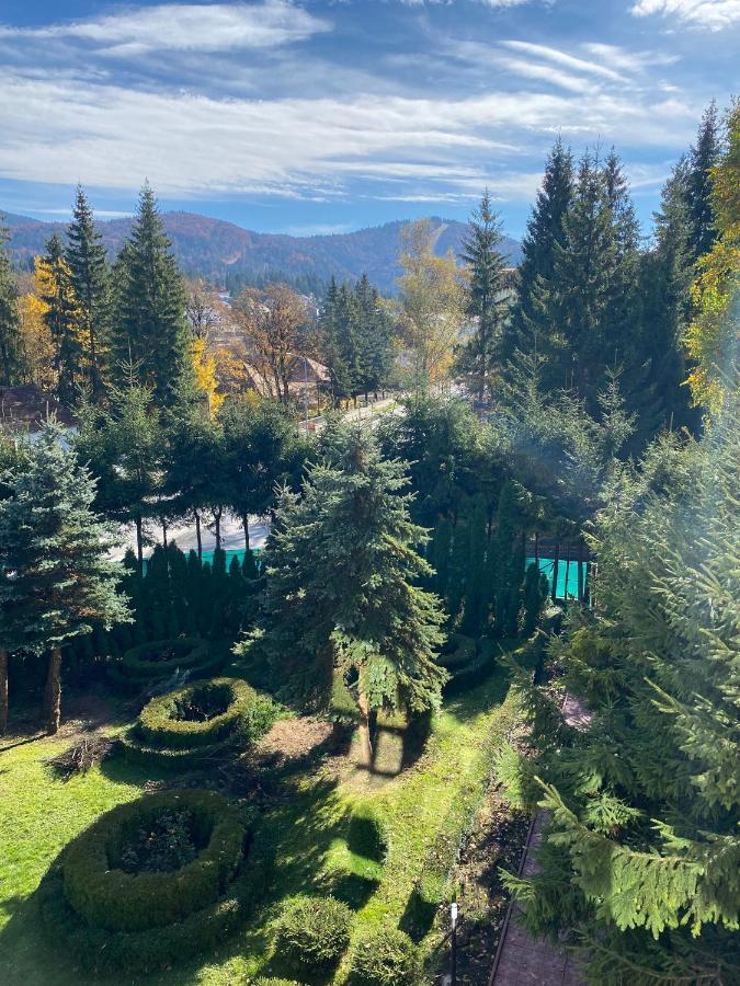 Vila Phoenix Aparthotel Predeál Kültér fotó