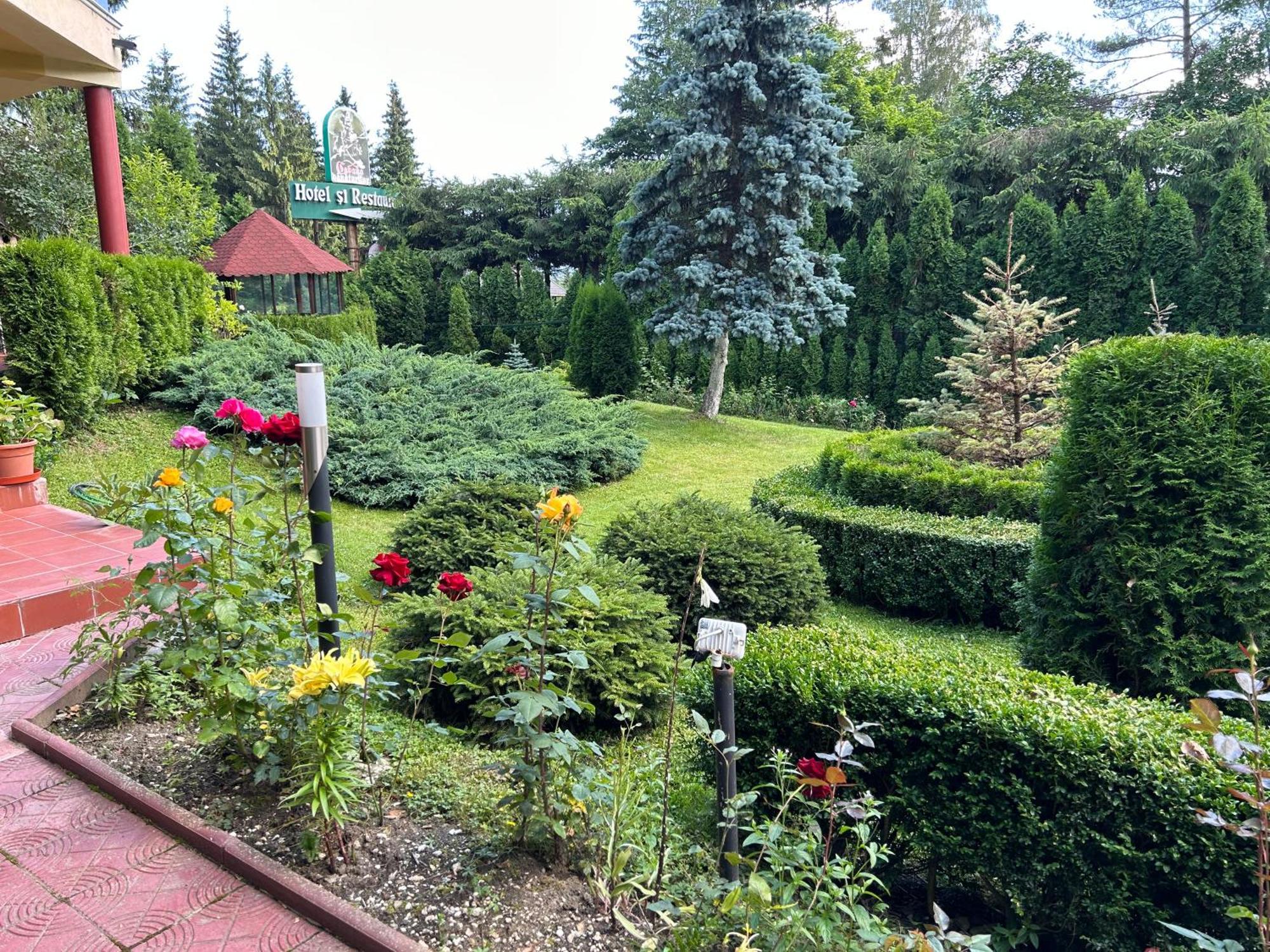 Vila Phoenix Aparthotel Predeál Kültér fotó